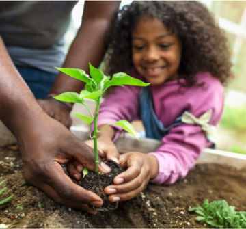 Child and adult putting a plant in soil.