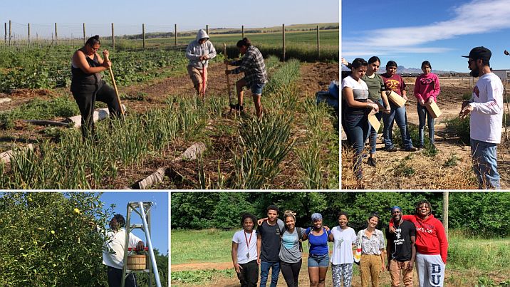 farmers participating in community development grants