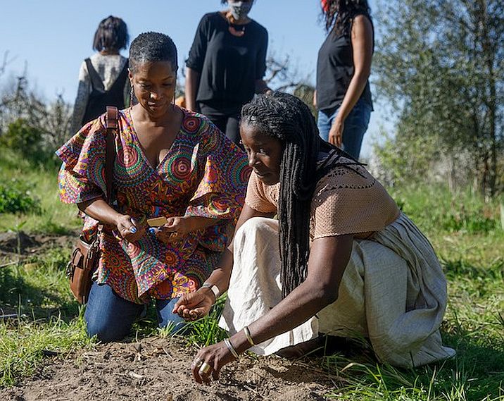 BIPOC farmers