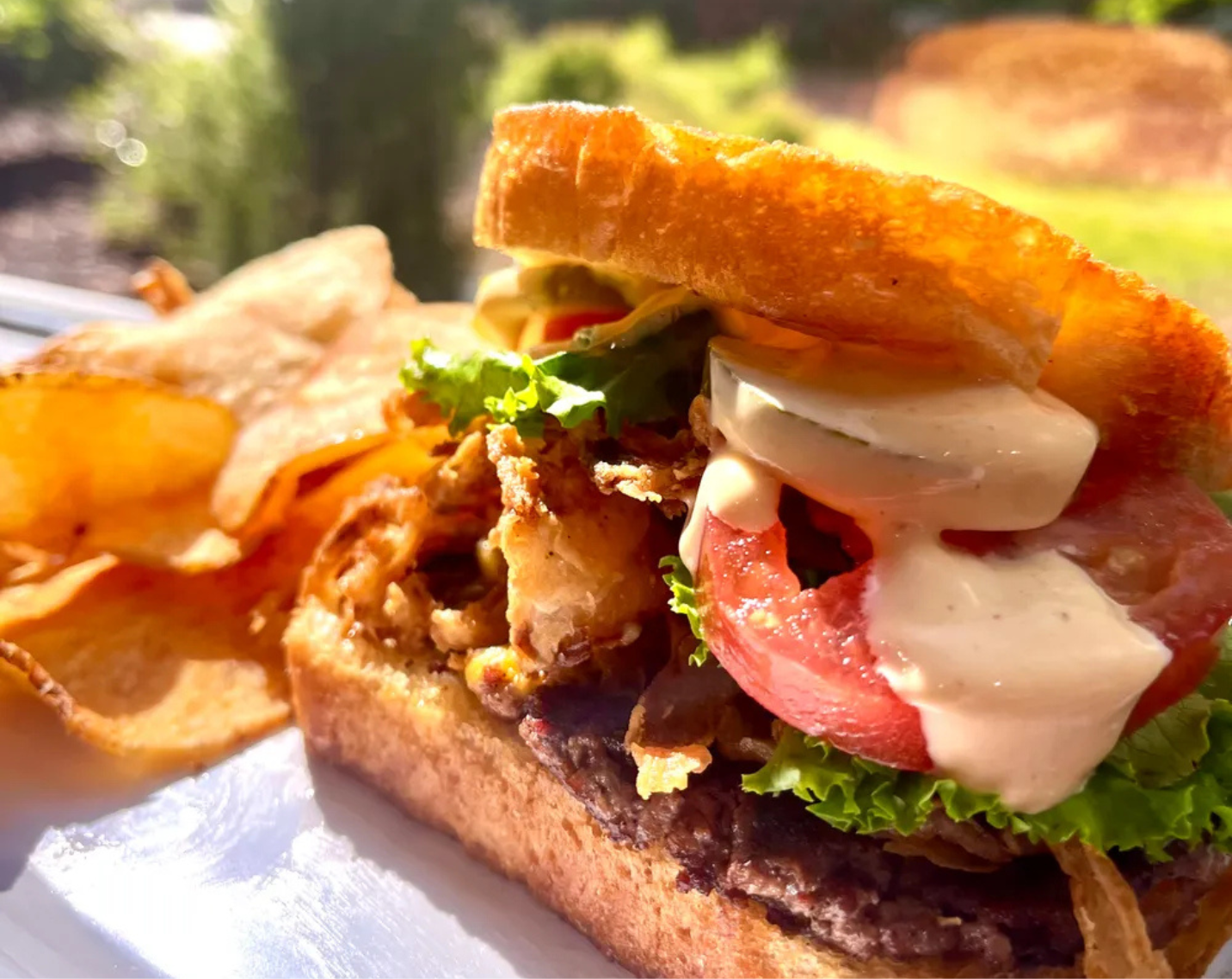 Black and Gold Smashburger, Harding University