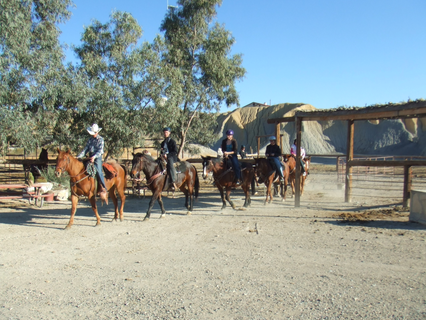 big bend horse stables