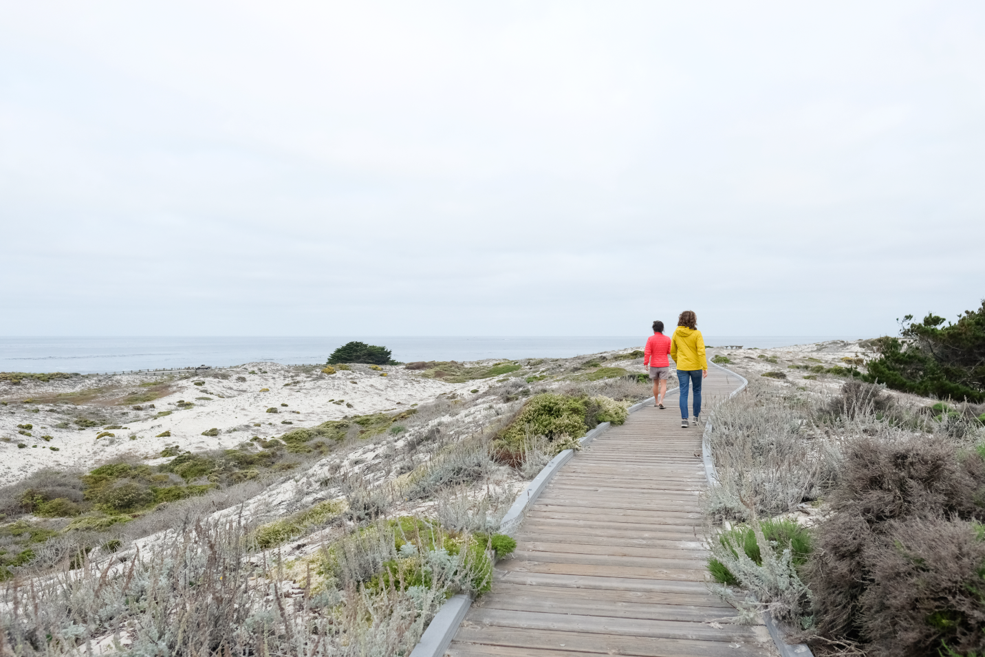Asilomar State Beach and Conference Grounds