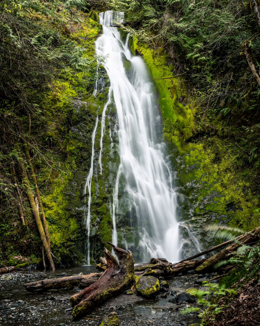 Olympic National Park and Forest