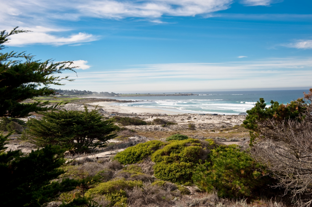 Asilomar State Beach & Conference Grounds