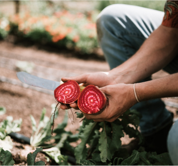 Person gardening
