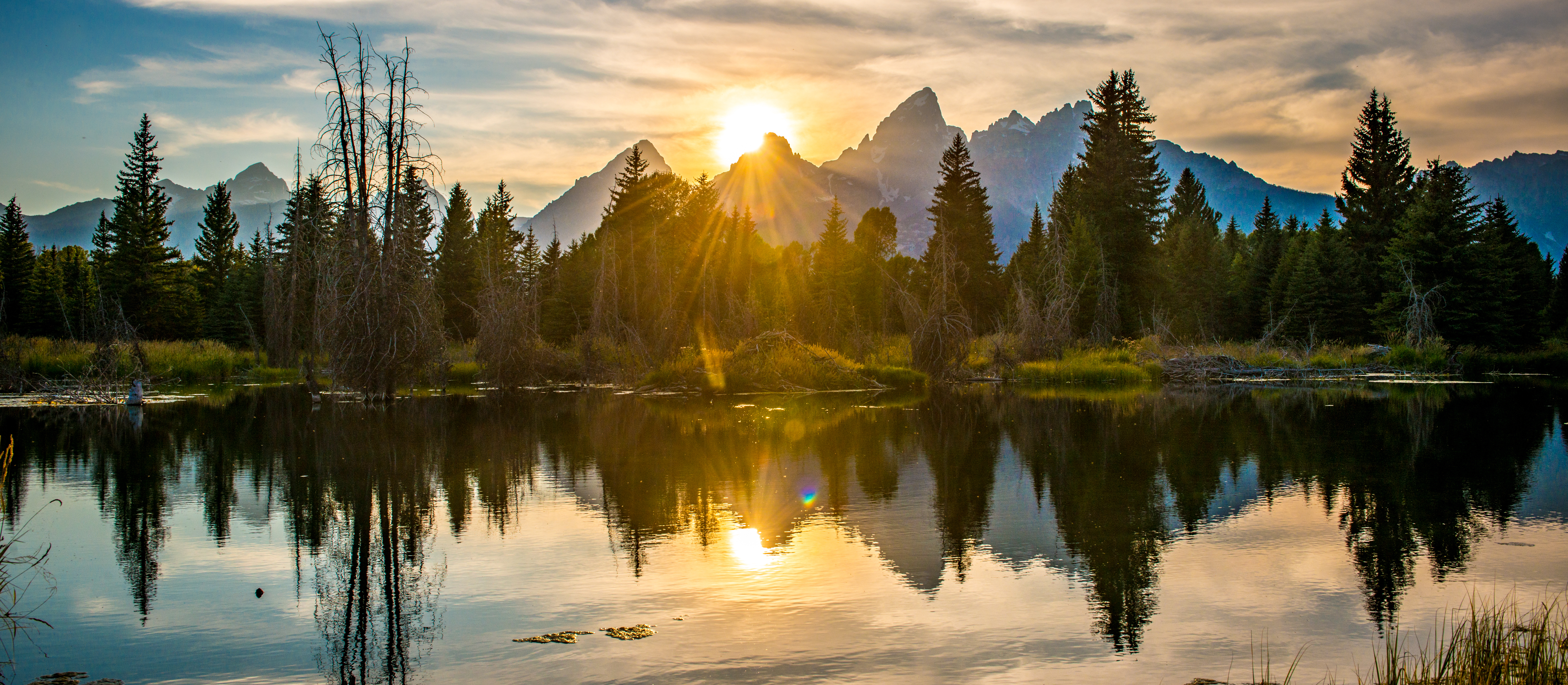 Nature reflection in water