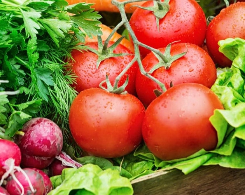 Tomatoes growing on the vine