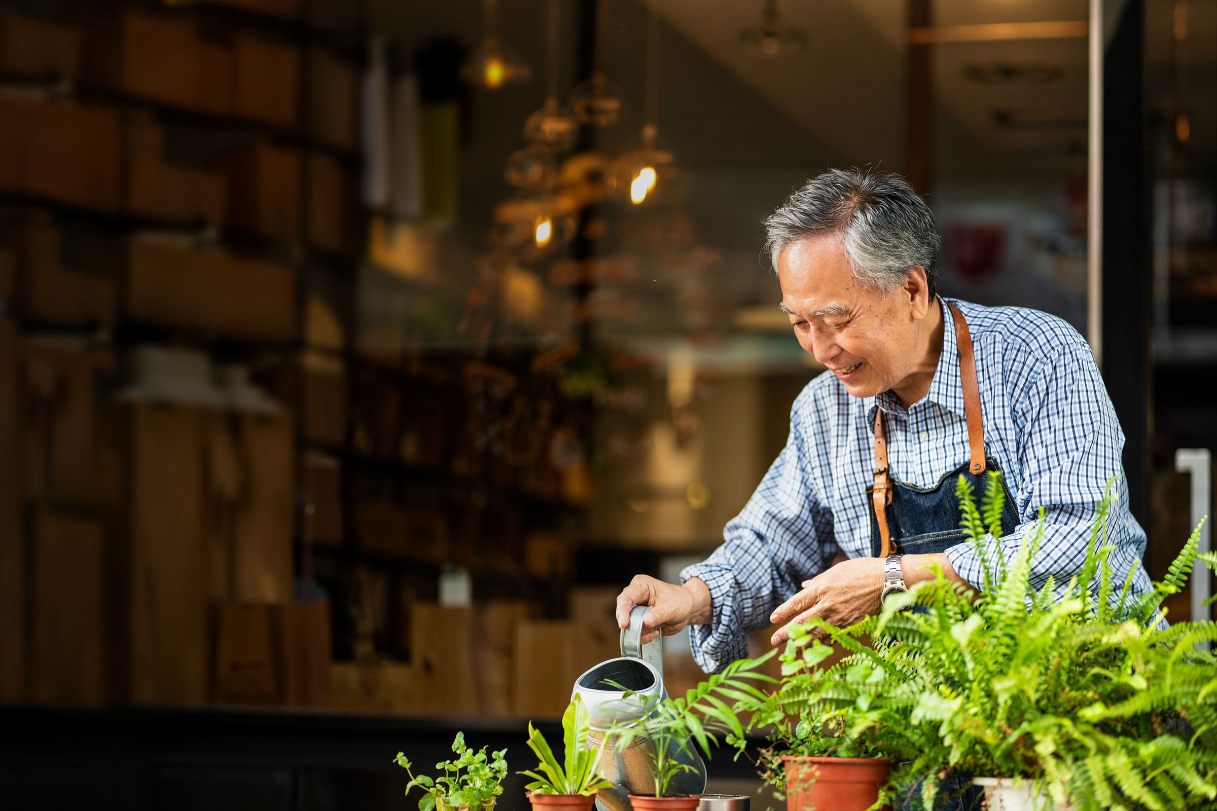 Elderly man in an apron watering plants.