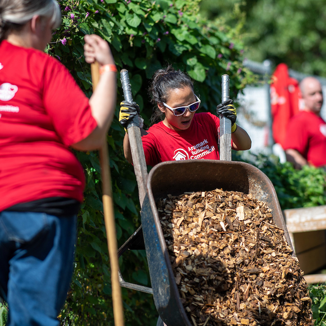 Workers pouring mulch