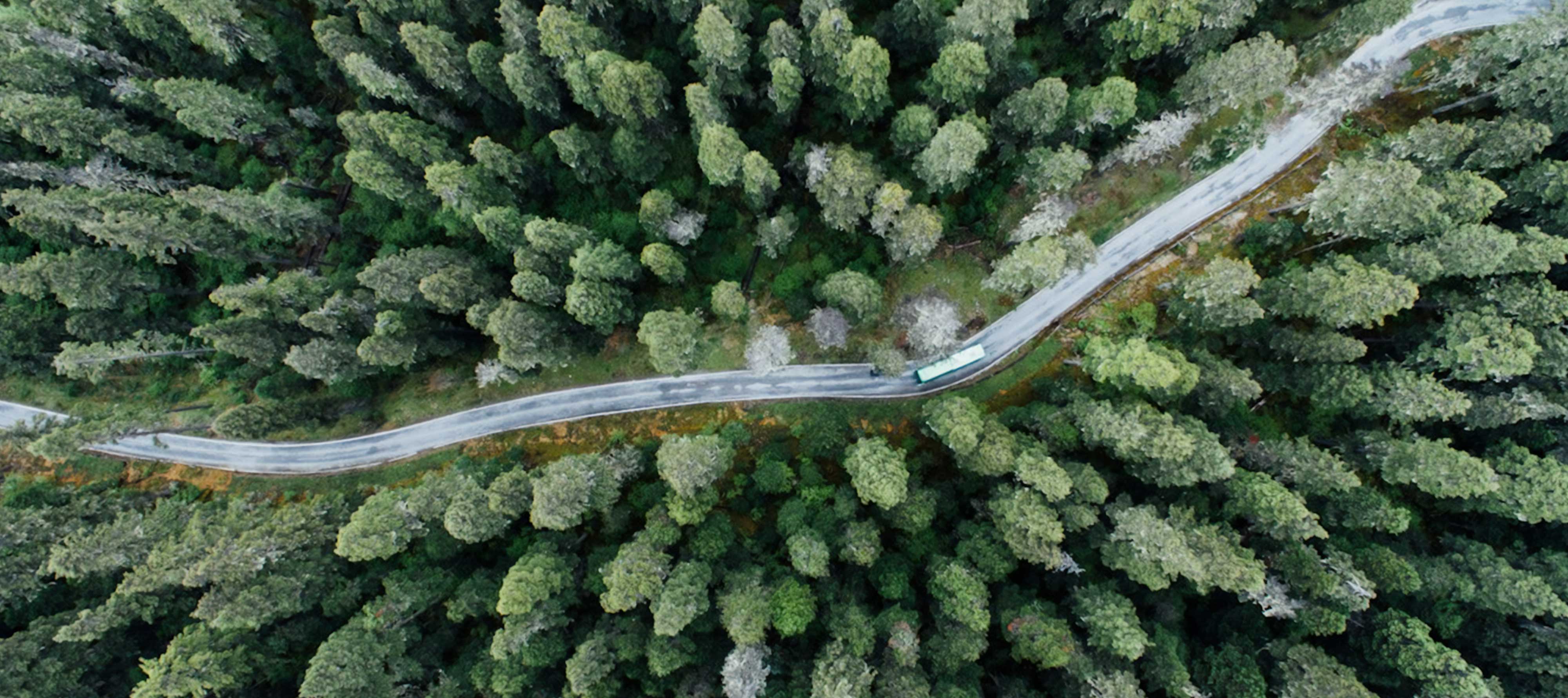 A truck driving on a winding road in a forest.