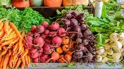 Freshly-picked vegetables at a farmer's market.