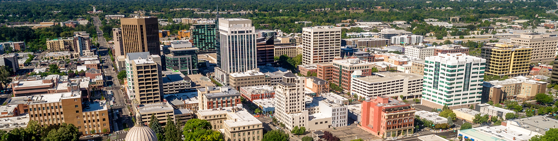 A city landscape.