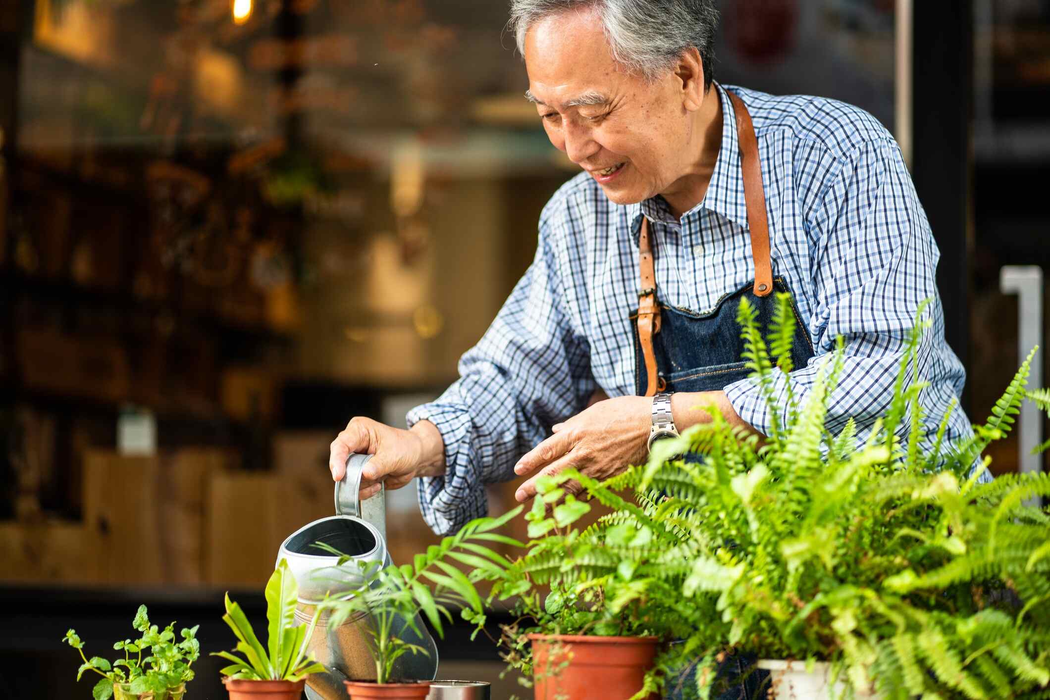 Older man watering plants.
