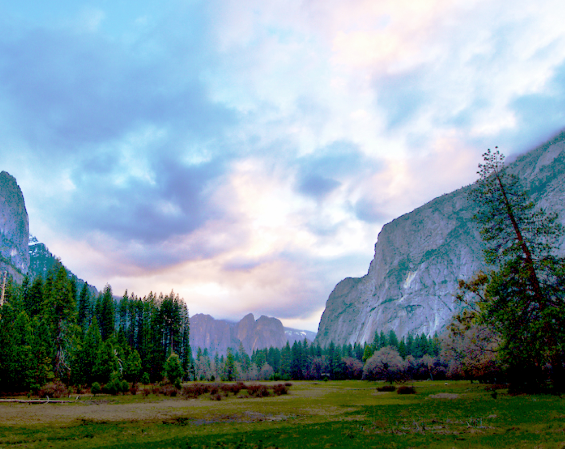 Animals grazing in a valley