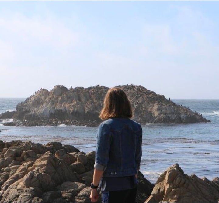 Person looking at ocean